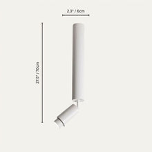 Load image into Gallery viewer, Edwin Downlight