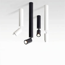 Load image into Gallery viewer, Edwin Downlight