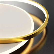 Load image into Gallery viewer, Emma Ceiling Light