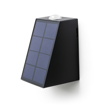 Load image into Gallery viewer, Enelise Outdoor Wall Lamp