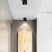 Carregar imagem no visualizador da galeria, Eugenia Downlight