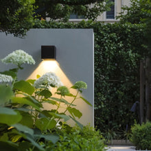 Carregar imagem no visualizador da galeria, Evelyn Outdoor Wall Lamp
