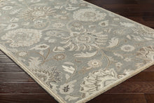 Cargar imagen en el visor de la galería, Conesus 1195 Hand Tufted Ivory & Taupe Wool Rug