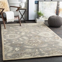 Cargar imagen en el visor de la galería, Conesus 1195 Hand Tufted Ivory & Taupe Wool Rug