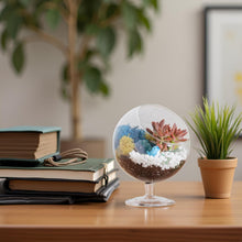 Carregar imagem no visualizador da galeria, 6" Glass Chalice Succulent Terrarium Kit