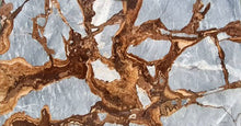 Cargar imagen en el visor de la galería, Fire Fantastico Gray Bookmatching Marble Slabs Polished - Livfloors Collection