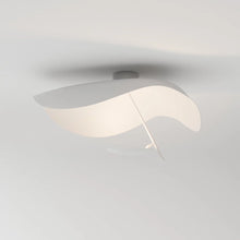 Carregar imagem no visualizador da galeria, Foglia Ceiling Wall Lamp