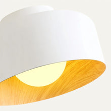 Cargar imagen en el visor de la galería, Folkio Ceiling Light
