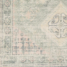 Carregar imagem no visualizador da galeria, Foraker Sage Green Cotton Rug