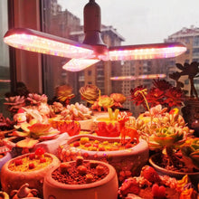 Load image into Gallery viewer, Full Spectrum Grow Lights Folding Model for Plant Growth
