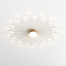 Carregar imagem no visualizador da galeria, Glory Chandelier