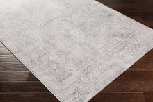 Load image into Gallery viewer, Michie Gray Area Rug