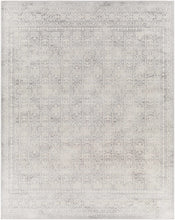 Load image into Gallery viewer, Michie Gray Area Rug