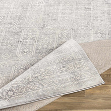 Load image into Gallery viewer, Michie Gray Area Rug
