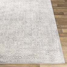 Load image into Gallery viewer, Michie Gray Area Rug