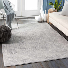 Load image into Gallery viewer, Michie Gray Area Rug