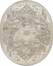 Carregar imagem no visualizador da galeria, Broomfield 1196 Hand Tufted Taupe Wool Rug