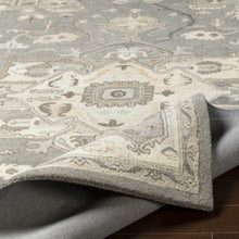 Carregar imagem no visualizador da galeria, Broomfield 1196 Hand Tufted Taupe Wool Rug