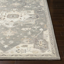 Carregar imagem no visualizador da galeria, Broomfield 1196 Hand Tufted Taupe Wool Rug