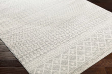 Load image into Gallery viewer, Constantin Gray Area Rug