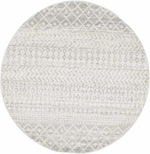 Load image into Gallery viewer, Constantin Gray Area Rug