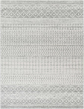Load image into Gallery viewer, Constantin Gray Area Rug