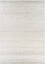 Load image into Gallery viewer, Constantin Gray Area Rug