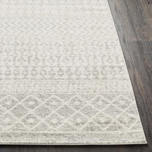 Load image into Gallery viewer, Constantin Gray Area Rug