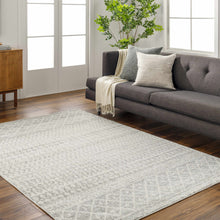 Load image into Gallery viewer, Constantin Gray Area Rug