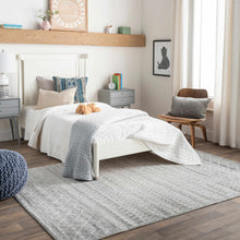 Load image into Gallery viewer, Constantin Gray Area Rug