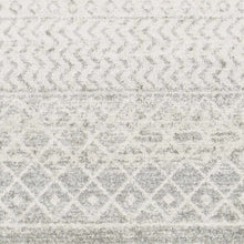 Load image into Gallery viewer, Constantin Gray Area Rug