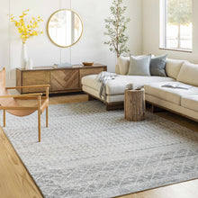 Load image into Gallery viewer, Constantin Gray Area Rug