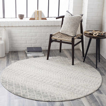 Load image into Gallery viewer, Constantin Gray Area Rug