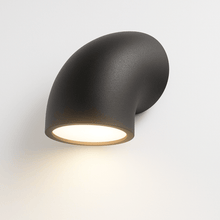 Carregar imagem no visualizador da galeria, Hortus Outdoor Wall Lamp