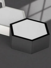 Carregar imagem no visualizador da galeria, Iara Ceiling Light