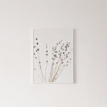 Load image into Gallery viewer, Botanical Canvas Paintings (3 Pack)
