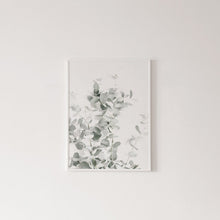 Load image into Gallery viewer, Botanical Canvas Paintings (3 Pack)