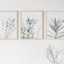 Load image into Gallery viewer, Botanical Canvas Paintings (3 Pack)