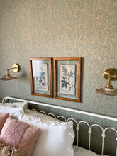 Carregar imagem no visualizador da galeria, Edelweiss Wallpaper by Danelys Sidron