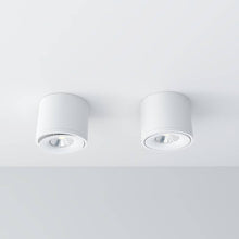 Load image into Gallery viewer, Jannis Downlight