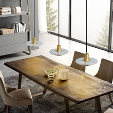 Carregar imagem no visualizador da galeria, Julian Pendant Light