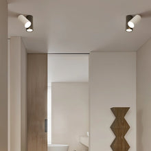 Carregar imagem no visualizador da galeria, Kashaf Ceiling Light