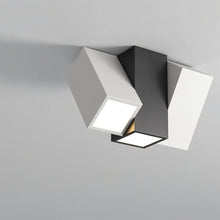 Carregar imagem no visualizador da galeria, Kashaf Ceiling Light