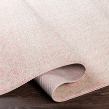 Load image into Gallery viewer, Constantin Blush Area Rug - Clearance