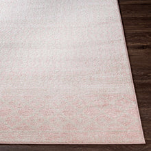Load image into Gallery viewer, Constantin Blush Area Rug - Clearance