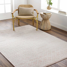 Load image into Gallery viewer, Constantin Blush Area Rug - Clearance