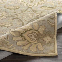 Cargar imagen en el visor de la galería, Chesterton Hand Tufted Ivory 1111 Area Rug