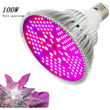 Carregar imagem no visualizador da galeria, LED Full Spectrum Light for Herb Plants USB Powered
