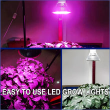 Carregar imagem no visualizador da galeria, LED Full Spectrum Light for Herb Plants USB Powered
