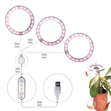 Carregar imagem no visualizador da galeria, LED Grow Light Full Spectrum Angel Ring USB Lamp for Indoor Plants